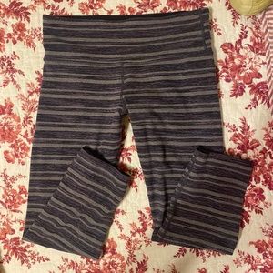 Rare Wunder Under Crop- Black Stripes Galore
